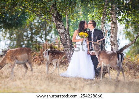 Beautiful bride and groom in a park with deer