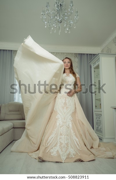 Beautiful Bride Posing Wedding Dress Silver Stock Photo Edit Now