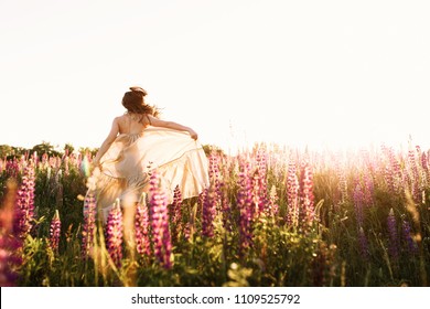 A beautiful bride in wedding dress dancing alone in field of lupine flowers on sunset. View from the back
