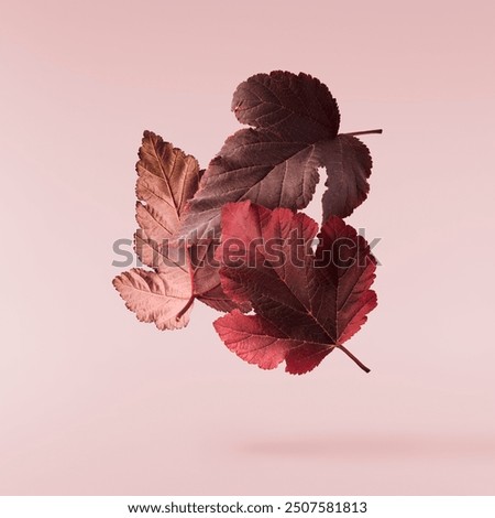 Similar – Image, Stock Photo Colorful autumn leaves in water with tree reflection