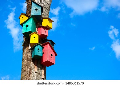Beautiful bright colorful birdhouse on a tree with blue sky on the background wallpaper