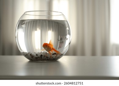 Beautiful bright goldfish in aquarium on table at home. Space for text