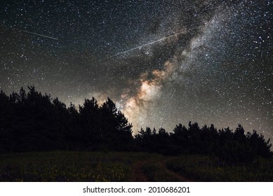 Beautiful bright milkyway galaxy in the daark forest. Starry sky, night landscpe. 