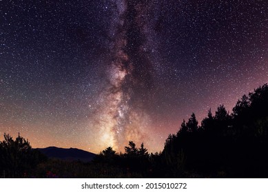 Beautiful bright milkyway galaxy in the daark forest. Starry sky, night landscpe. 