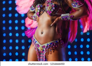 Beautiful Bright Pink Carnival Costume Illuminated Stage Background. Samba Dancer Body Carnival Costume Bikini Hips Feathers Rhinestones Close Up