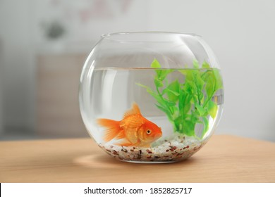 4,334 Table aquarium Images, Stock Photos & Vectors | Shutterstock