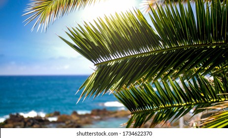 Beautiful Bright Sun Shining Through Palm Tree Leaves At The Ocean Shore On Tropical Island.