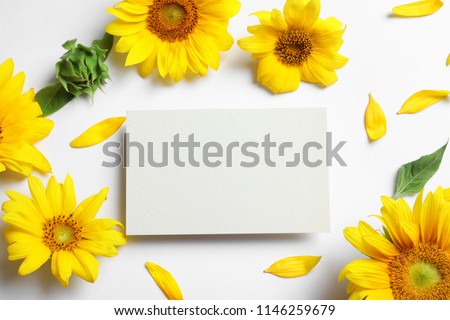 Beautiful bright sunflowers and card on white background