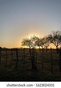 Beautiful Bright Sunset In Chitre.