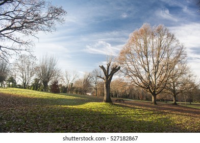 Beautiful British Landscape With Autumnal Trees And Green Lawn. Lido Park, Droitwich Spa, England, United Kingdom