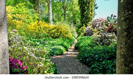 Beautiful British Summertime Flowers In The English Countryside