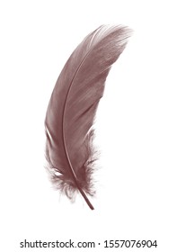 833,604 Brown Feather Images, Stock Photos & Vectors | Shutterstock