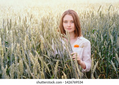 Beautiful Brown Hair Young Woman On Summer Wheat Field.