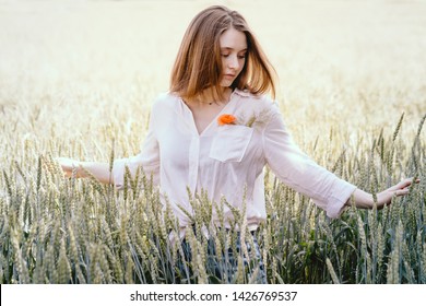 Beautiful brown hair young woman on summer wheat field.