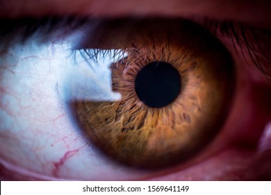 Beautiful Brown Human Eye Very Close Up Macro Photography