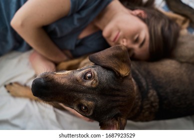 Beautiful Brunette Female In Pijamas Lays On Bed In Bedroom With Her Street Dog Adopted. Isolated At Home During Quarantine To Prevent Infection. Coronavirus. Pandemia