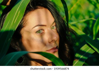 beautiful brunette girl in summer corn leaves, art portrait of a woman in nature. posing laughs looking at the camera, selective sharpness, openwork shadow natural light