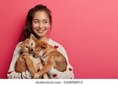 Beautiful Brunette Woman Plays With Two Shiba Inu Dogs, Looks Away, Thinks How To Feed Pets And Teach Commands, Expresses Caress, Isolated On Pink Background. Human And Animal Connection, Trust