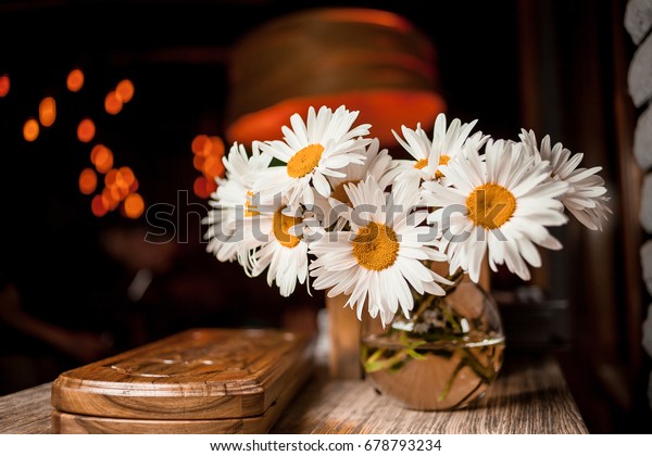 Beautiful Bunch Chamomile Flowers Daisy Flower Stock Photo Edit