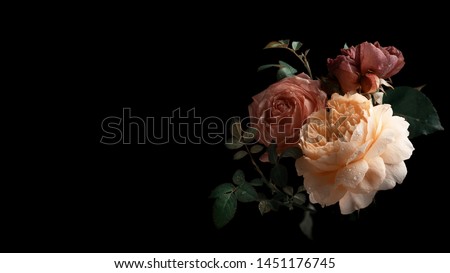 Beautiful bunch of colorful roses flowers on black background. Festive flowers concept. Floral vintage card with flowers.