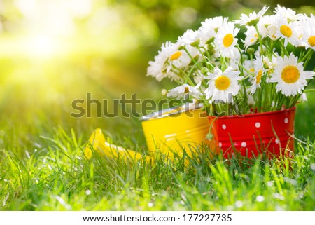 Similar – Image, Stock Photo Watering can with daisies