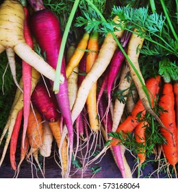 Beautiful bunches of colorful carrots stacked on table and sold at farmers market
