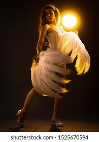 A Beautiful Burlesque Dancer In A Darkly Lit Stage Environment.