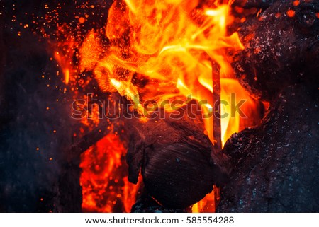 Similar – Image, Stock Photo Preparation of meal on a fire