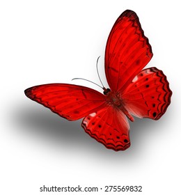 Beautiful Flying Red Butterfly Vagrant Butterfly Stock Photo (Edit Now ...