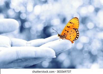 Beautiful butterfly sitting on the hand 