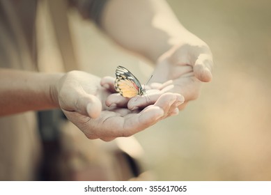 Beautiful butterfly sitting on the hand vintage