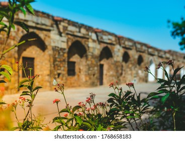 A Beautiful Butterfly Sitting In A Quiet Garden At A Tourist Place In India During Corona Virus Lockdown And Travel Ban. No Visitors Allowed At Old Fort Of Delhi Also Known As Purana Qila. 