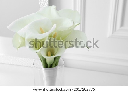 Beautiful calla lily flowers in glass vase near white wall, closeup. Space for text