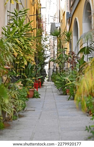 The beautiful so called Via Stretta (English Narrow Street) in the heart ofthe historic city center in Cagliari, Sardinia, Italy 