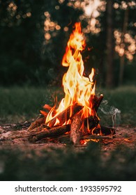 Beautiful campfire in the evening at the forest. Fire burning in dusk at campsite near a river in beautiful nature with evening sky at background - Shutterstock ID 1933595792