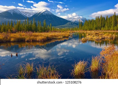 Beautiful Canadian Landscape, Jasper National Park, Alberta, Canada