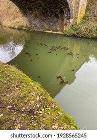 Beautiful Canal In Slough UK