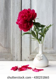 Beautiful Card With Single Flower Of Peony In A Cute Porcelain Vase With A Few Petals Falling On On Table. Vintage Style, Red And White Color. Concept For Greeting Card