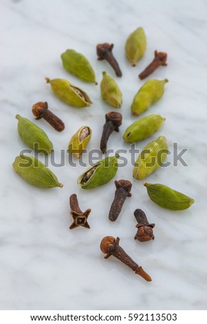 Similar – Foto Bild Kräutertee, Fencheltee, im Teebeutel