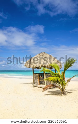A beautiful Caribbean beach with hut covered with palm leaves