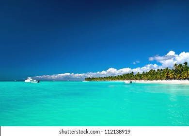 Beautiful Caribbean Beach On Saona Island