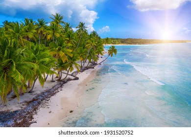 Beautiful Caribbean Beach On Saona Island, Dominican Republic. Aerial View Of Tropical Idyllic Summer Landscape With Green Palm Trees, Sea Coast And White Sand