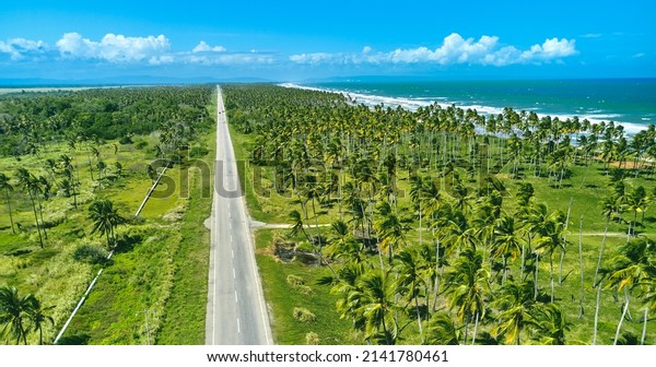 Beautiful Caribbean road with palm trees along the\
coast of Venezuela, aerial\
view.