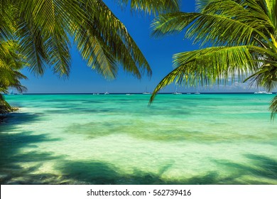 Beautiful Carribean Sea, Panoramic View From The Beach