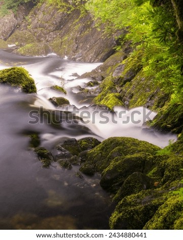 Beautiful cascading waterfall through lush green landscape - Rhaeadr Ewynnol  Swallow Falls in Betws-y-Coed, North Walesrfall