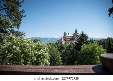 Beautiful castle in summer