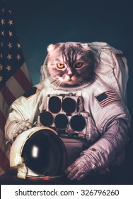 Beautiful Cat Astronaut. Elements Of This Image Furnished By NASA.