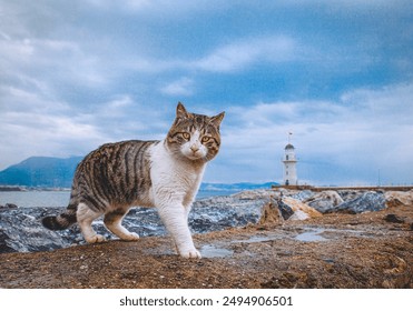 A beautiful cat on a lighthouse and dramatic sky looks into the camera