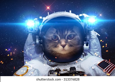 Beautiful Cat Outer Space Elements This Stock Photo (Edit Now) 311638076