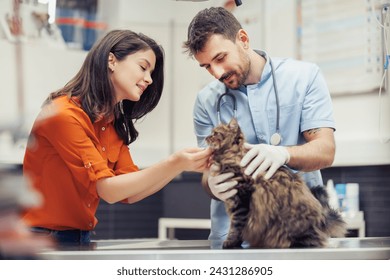 A beautiful cat receives attentive care and medical examination from a dedicated veterinarian at the local animal clinic, ensuring its health and well-being. - Powered by Shutterstock